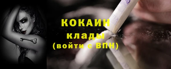 индика Балабаново