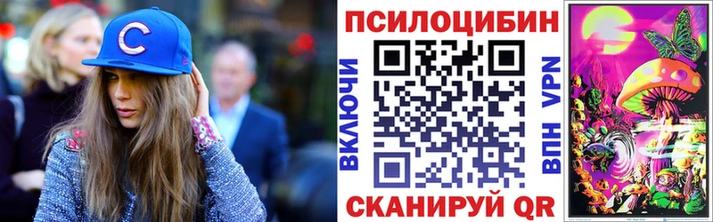 МЕГА зеркало  Малая Вишера  Галлюциногенные грибы Psilocybine cubensis  где купить наркоту 
